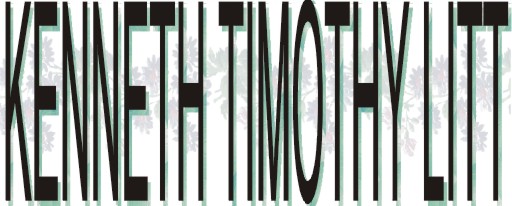 Kenneth Timothy Litt
